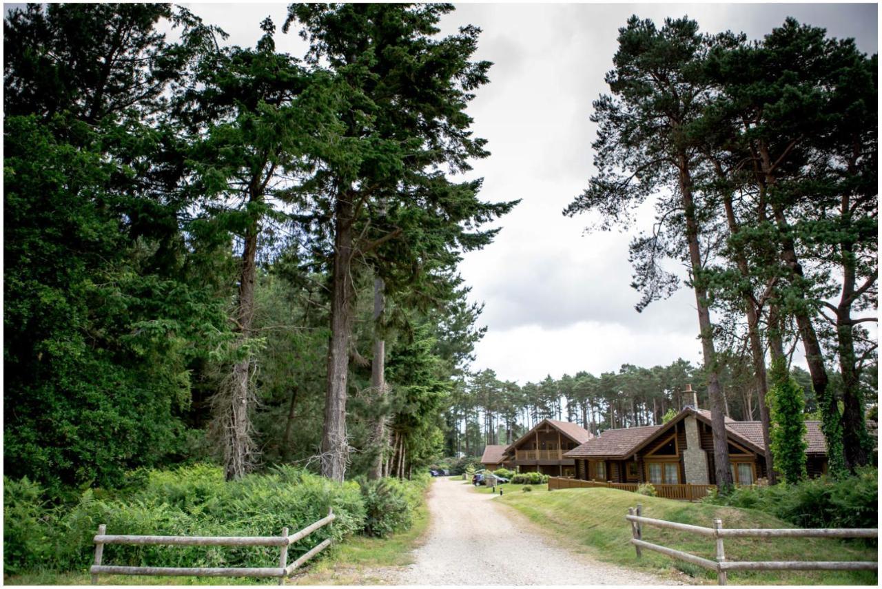 Dorset Resort Hotel East Stoke  Exterior photo